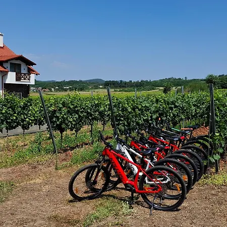 Gæstehus Wellness Vinny Dom