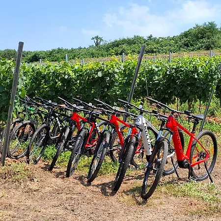 Wellness Vinny Dom 게스트하우스 3*