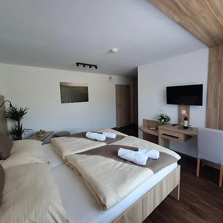 Wellness Vinny Dom Streda nad Bodrogom