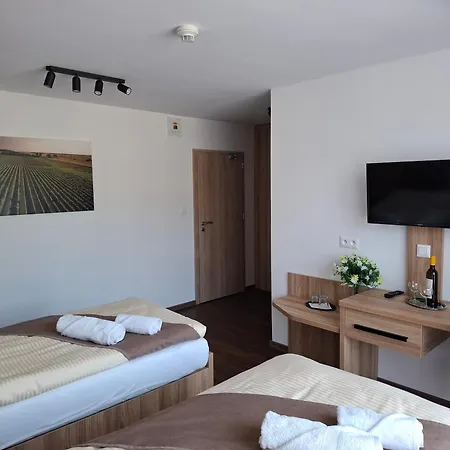 게스트하우스 Wellness Vinny Dom Streda nad Bodrogom