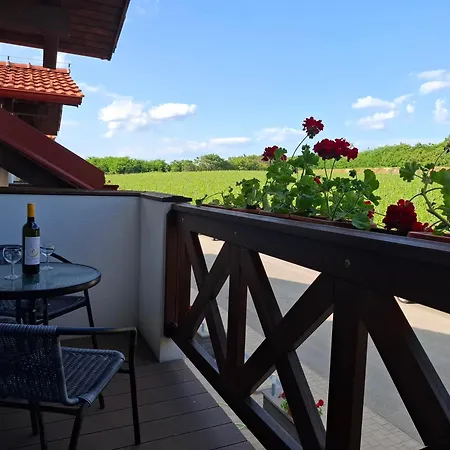 Wellness Vinny Dom Streda nad Bodrogom