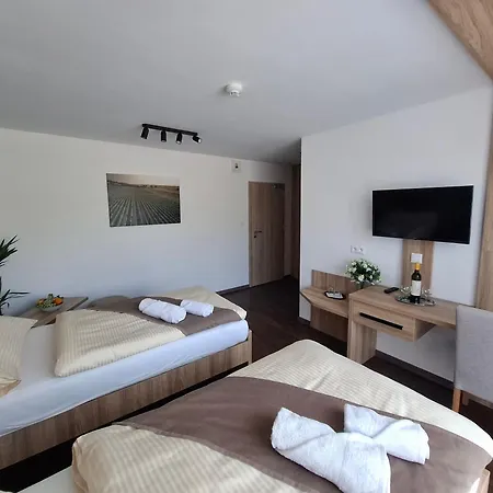 Wellness Vinny Dom 게스트하우스