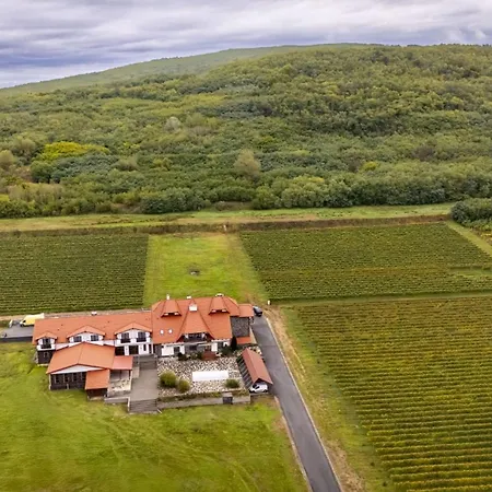 Gæstehus Wellness Vinny Dom