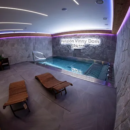 Wellness Vinny Dom