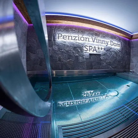 Gæstehus Wellness Vinny Dom Streda nad Bodrogom