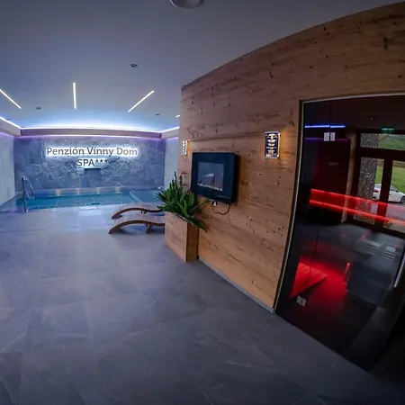 Wellness Vinny Dom 게스트하우스