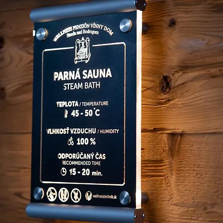 Wellness Vinny Dom 3*