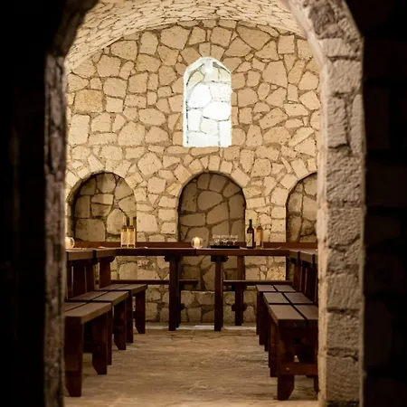 게스트하우스 Wellness Vinny Dom 3*