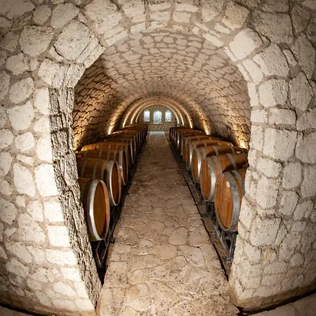 Wellness Vinny Dom 게스트하우스 Streda nad Bodrogom