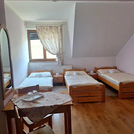 Wellness Vinny Dom Penzión pre hostí