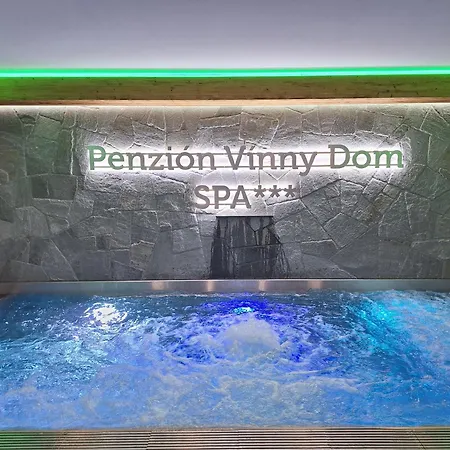 Maison d'hôtes Wellness Vinny Dom