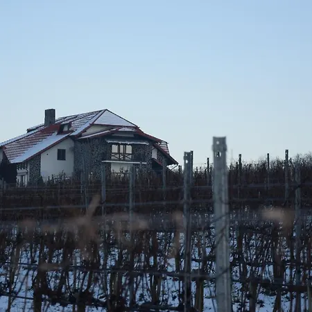 Wellness Vinny Dom Streda nad Bodrogom