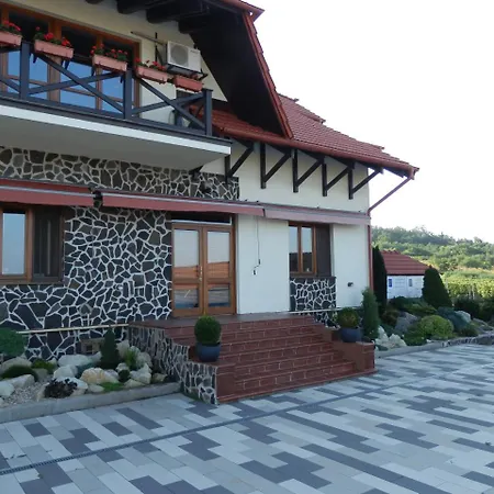 Wellness Vinny Dom Streda nad Bodrogom