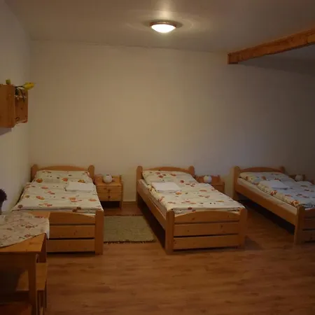 게스트하우스 Wellness Vinny Dom